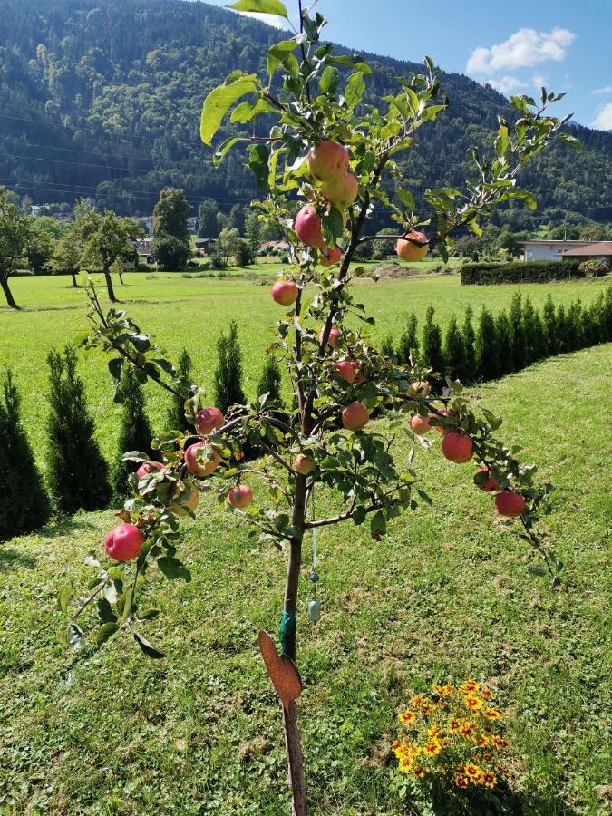 Apartment - Ferienwohnung 1 Treffen Am Ossiachersee Kültér fotó